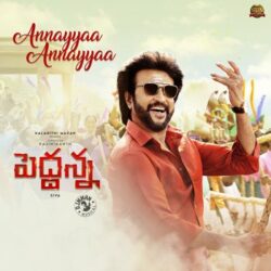 Movie songs of Annayyaa Annayyaa Song from Peddanna