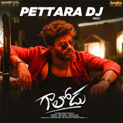 Movie songs of Pettara DJ Song Download from Gaalodu Sudheer