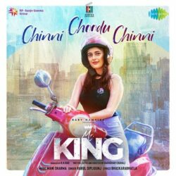 Movie songs of Chinni Choodu Chinni Song Download from Mr King 2022