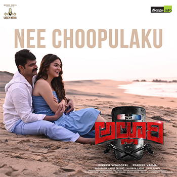 Nee Choopulaku Song Download from Alluri Movie 2022