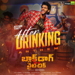 Movie songs of After Drinking Anthem Song Free Download | Chandrahas