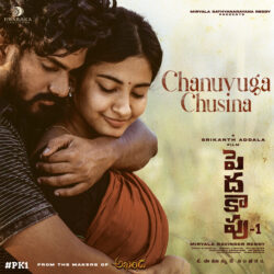 Chanuvuga Chusina song Pedda Kapu 1 film songs