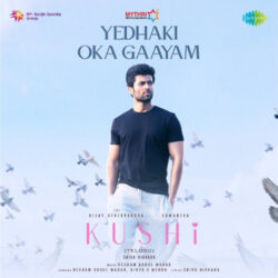 Yedhaki Oka Gaayam song Kushi Telugu Movie songs