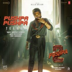 Pushpa Pushpa songs from Pushpa 2