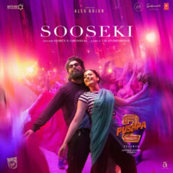 Sooseki song from Pushpa 2
